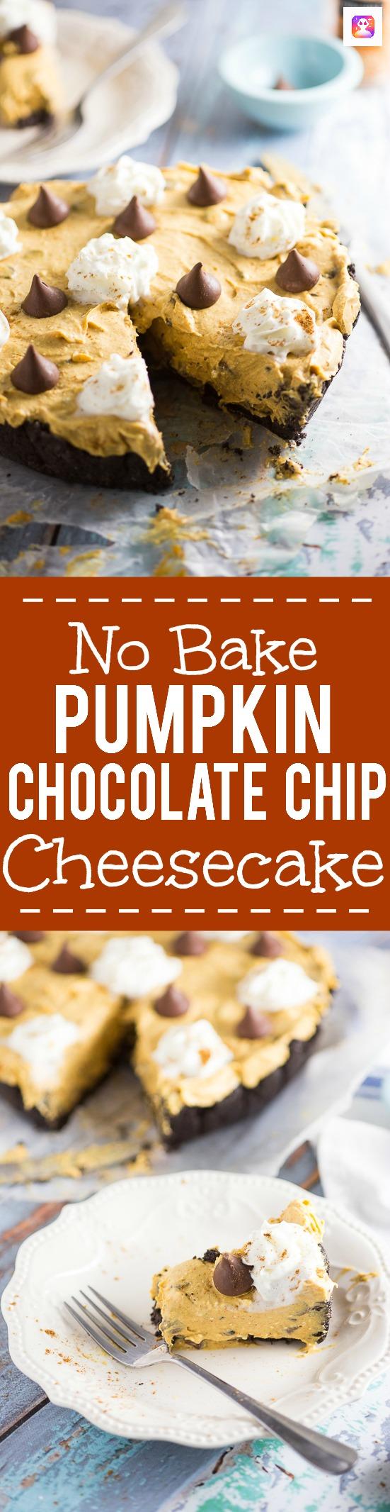 No Bake Pumpkin Chocolate Cheesecake